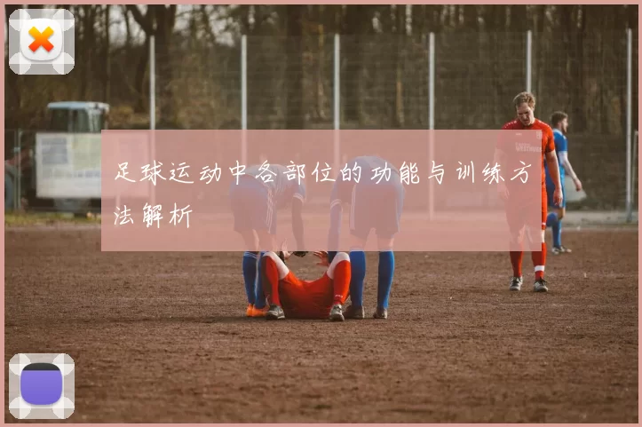 足球运动中各部位的功能与训练方法解析