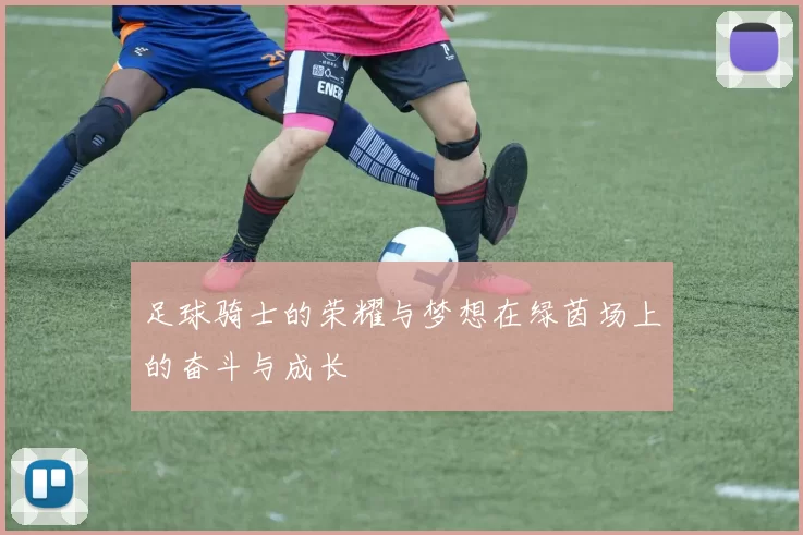 足球骑士的荣耀与梦想在绿茵场上的奋斗与成长