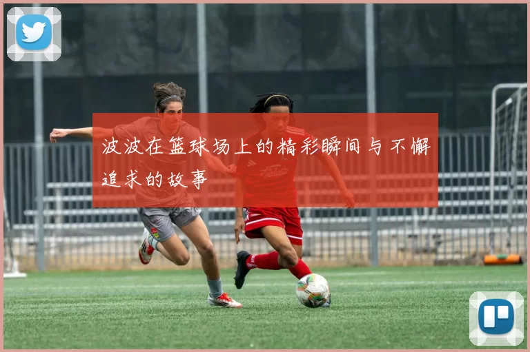 波波在篮球场上的精彩瞬间与不懈追求的故事